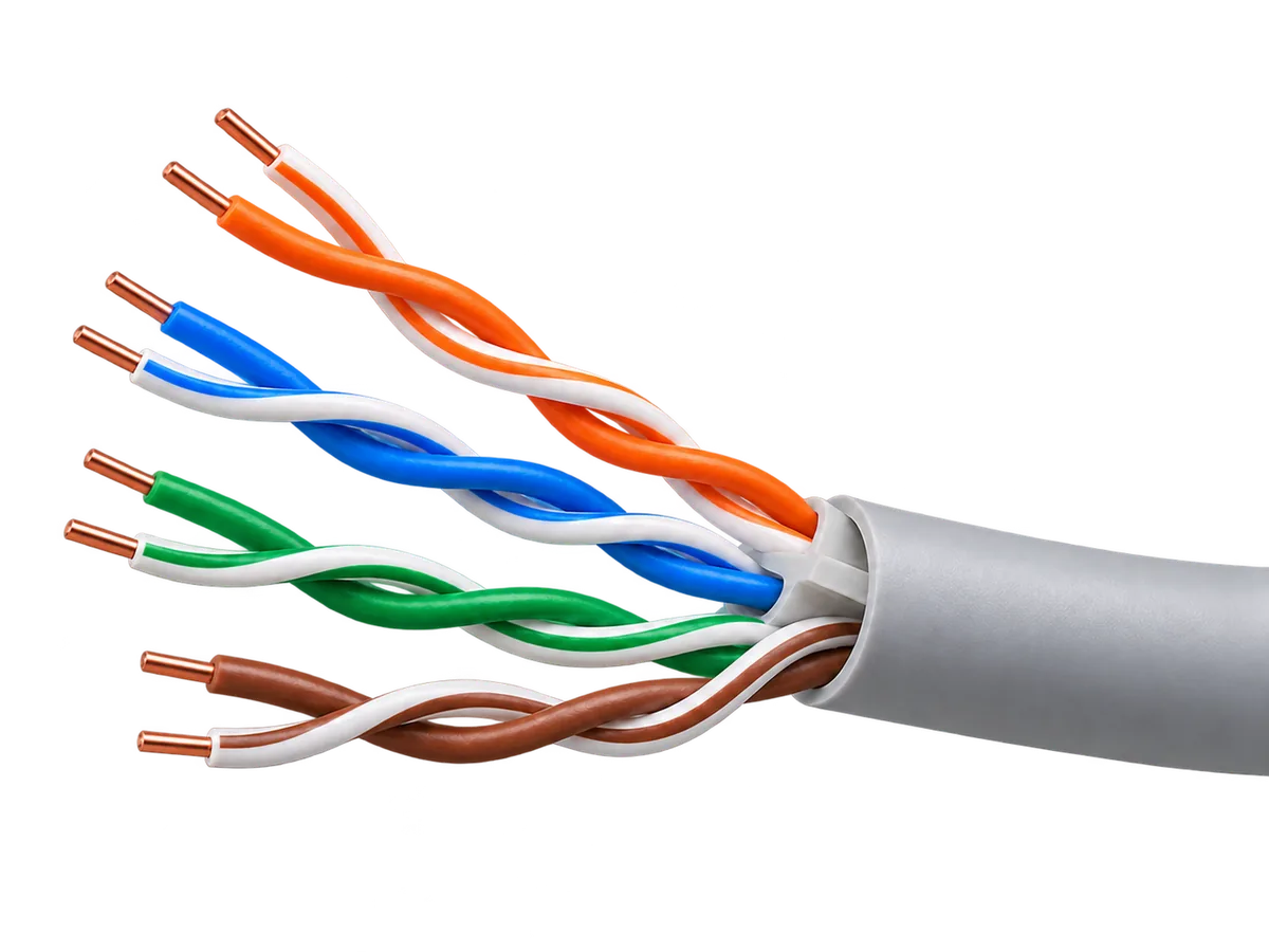 CAT6 UTP network cable with four twisted pairs in orange, blue, green and brown leaving a grey jacket, solid copper conductor tips exposed
